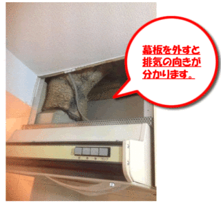 2015_05_25_renjifood-1.gif