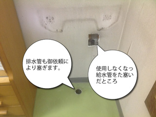 20160406_IMG_0110_640.jpg