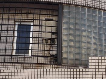 IMG_1746_2.jpg