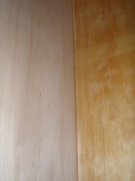 sP1310019.jpg