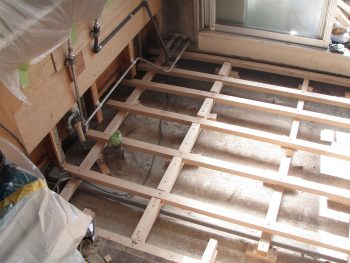 sP6050019.jpg