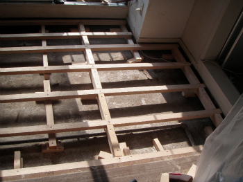 sP6050020.jpg
