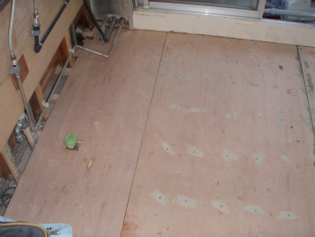 sP6050022.jpg