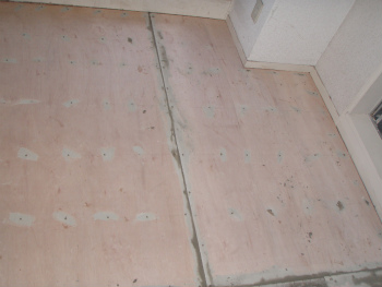 sP6050023.jpg