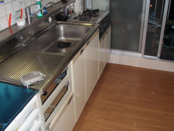 sP6050025.jpg