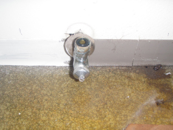sP6080002.jpg