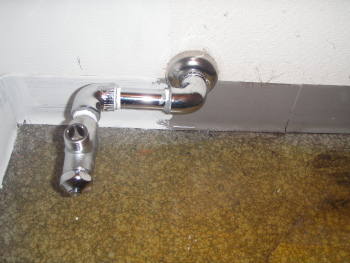 sP6080003.jpg