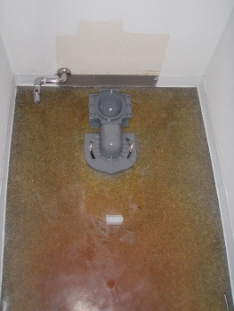 sP6080005.jpg